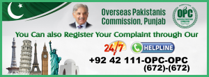 Overseas Pakistani 