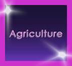 Agriculture Definition, Jobs, Career, Scope, Courses, Tips & Required Skills