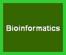 Bioinformatics Definition, Jobs, Career, Scope, Nature of Works & Required Skills