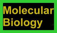 Molecular Biology or Cell Biology Definition, Jobs, Career, Scope, Tips, Degrees & Required Skills 