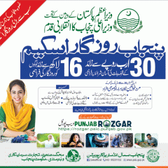 CM Punjab Self Employment Scheme 2022-Punjab Rozgar Scheme For Loans, Apply Online